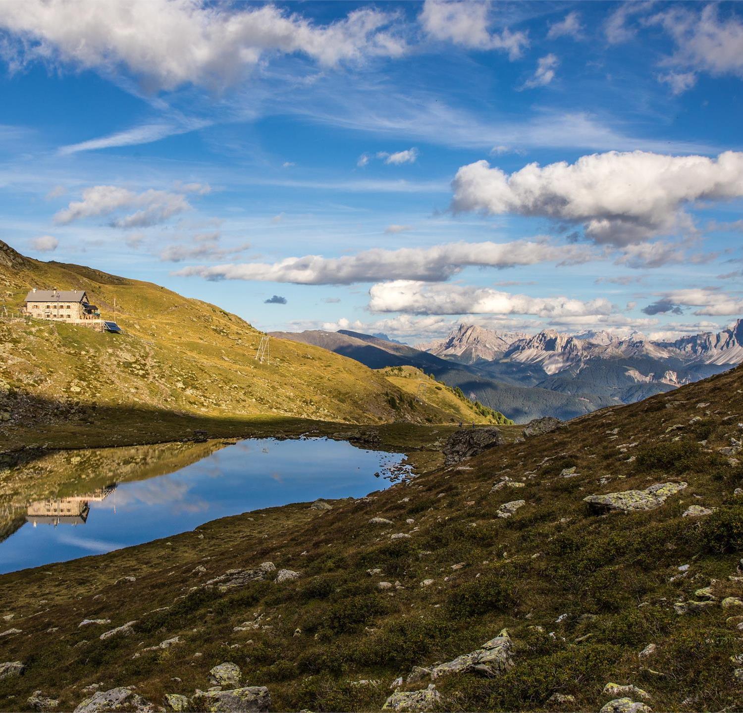 Foto per Escursione guidata panoramica al Rifugio Lago di Rodella (lago di montagna)